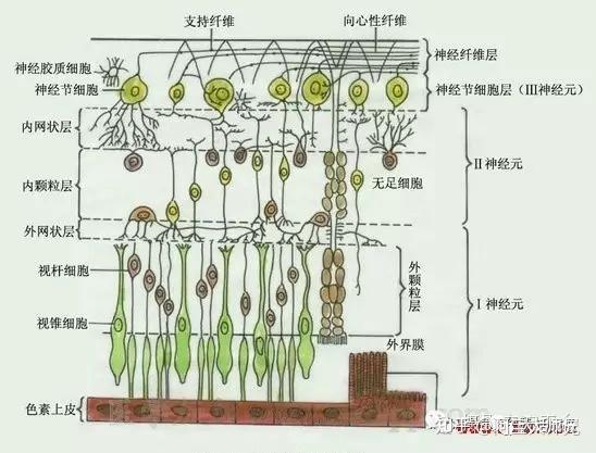 55寸电视尺寸_电视寸尺寸对比_电视尺寸尺寸