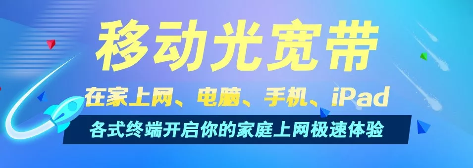 电脑网线插好了但是连不上网_网线插上网电脑好不好_网线插上电脑就能用吗