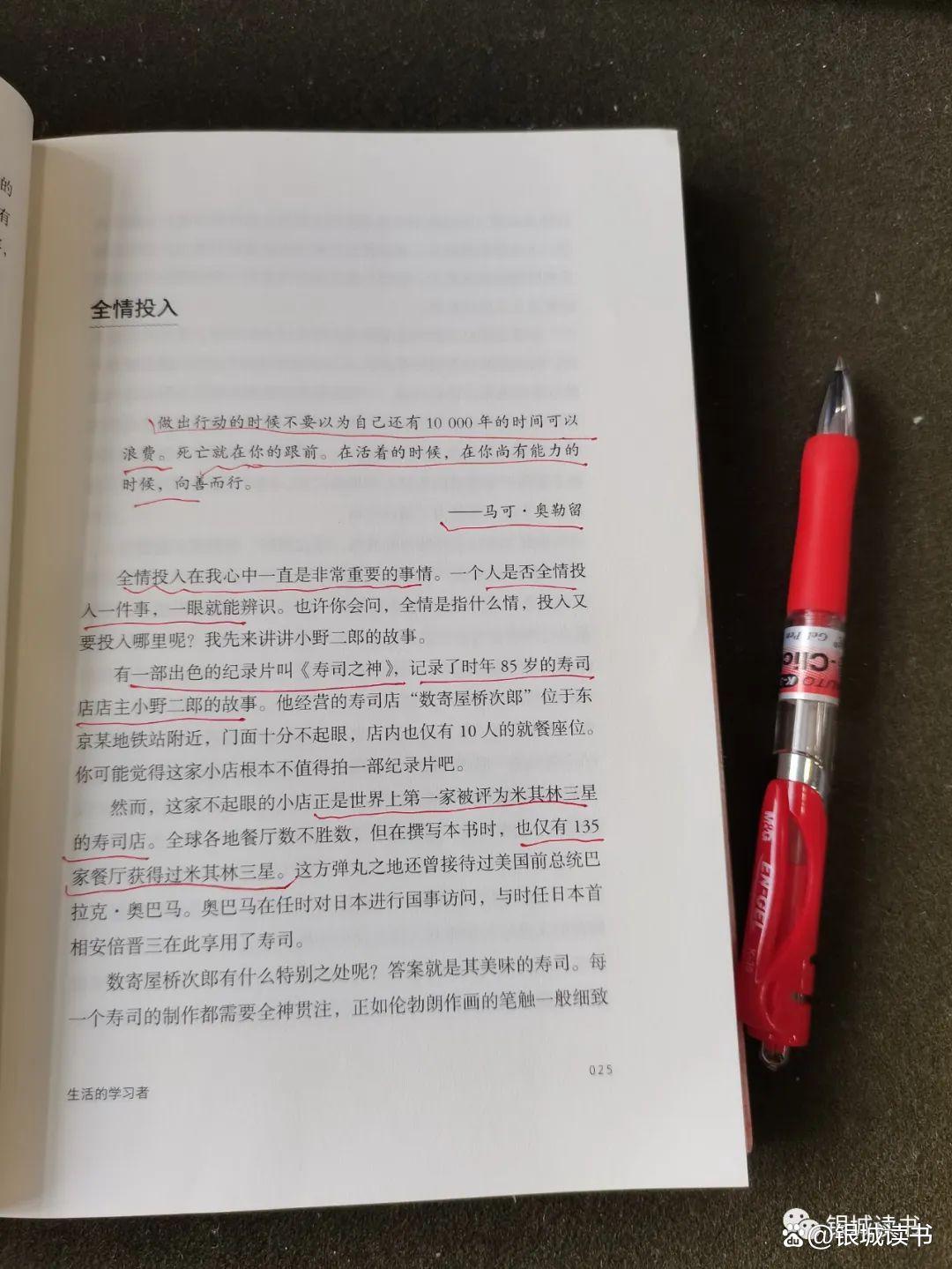 投入情绪_全情投入_投入情感什么意思