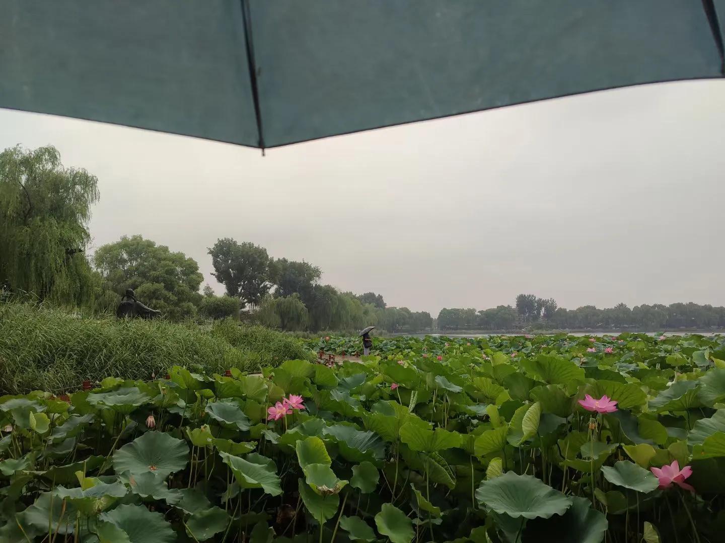 雨组词_雨燕体育直播_雨极