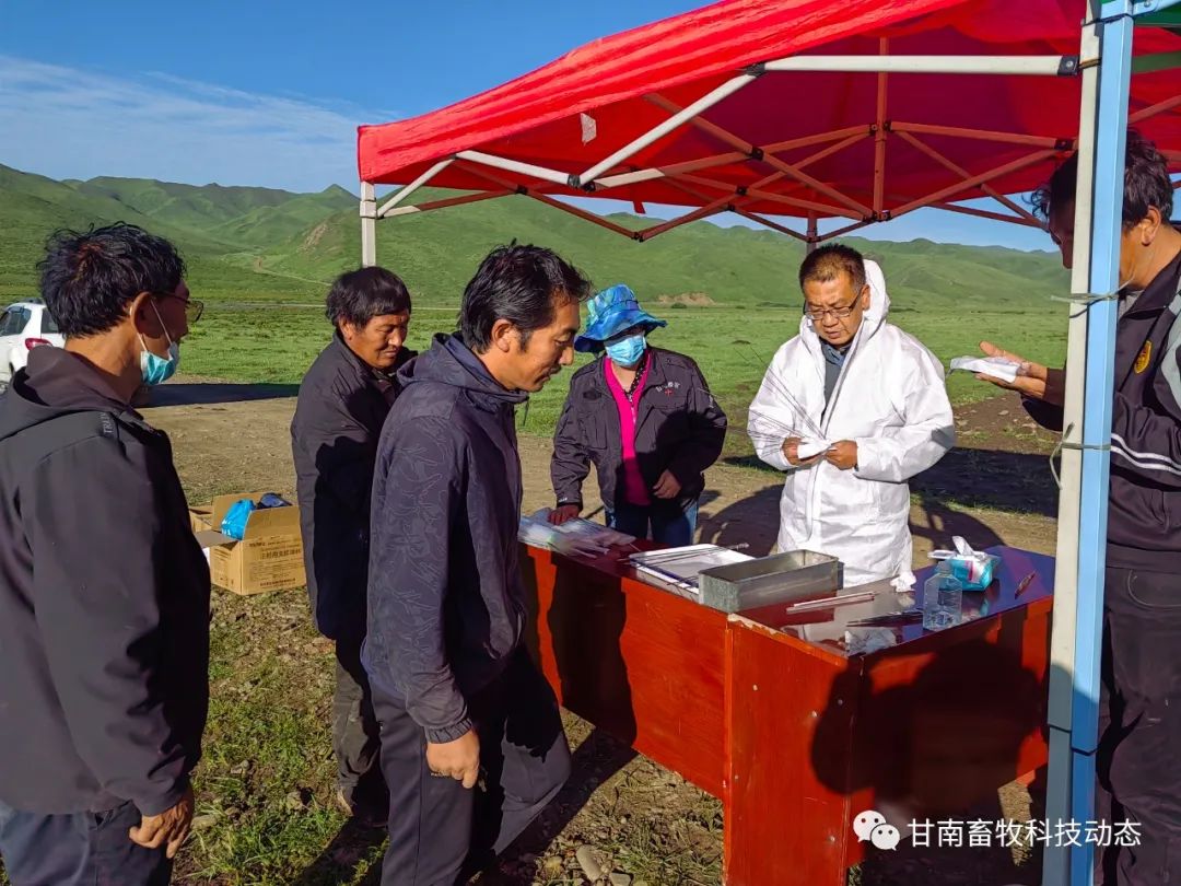 良种繁育技术_良种繁育_繁育良种要备案吗