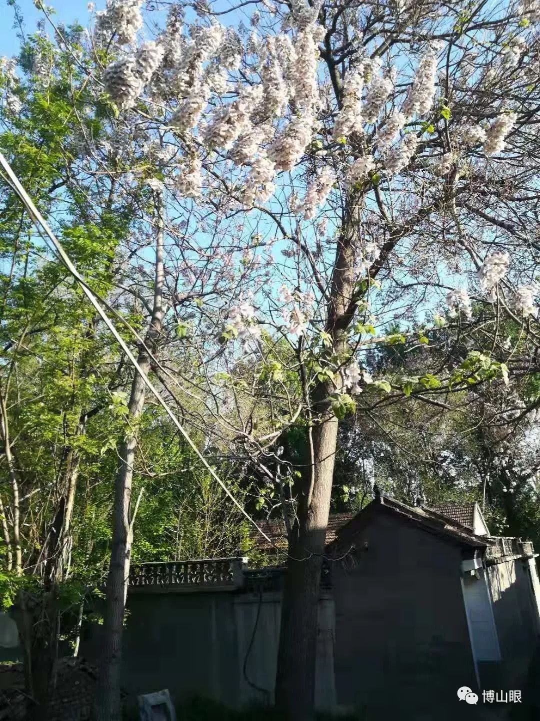 祖莹偷读_祖莹偷读文言文启示_祖莹偷读注音