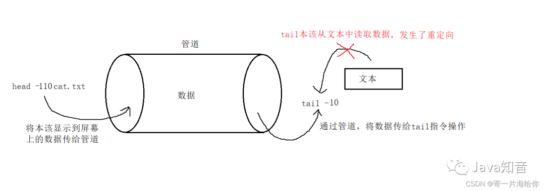 linux文件后缀_linux可执行文件后缀_linux可执行程序后缀